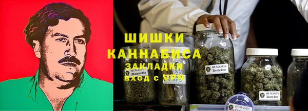 PSILOCYBIN Армянск