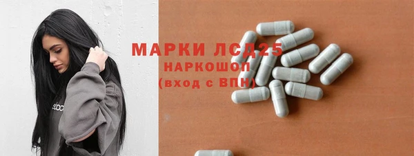 молекула духа Арсеньев