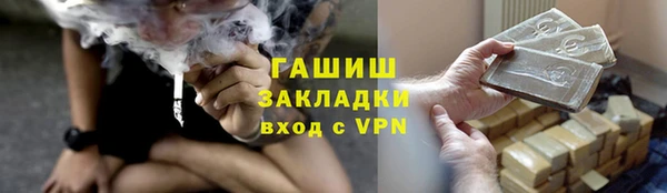 молекула духа Арсеньев