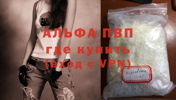 молекула духа Арсеньев