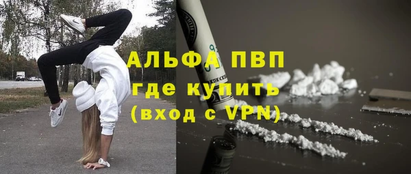молекула духа Арсеньев