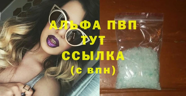 молекула духа Арсеньев