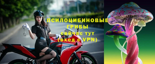 молекула духа Арсеньев