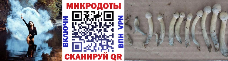 MEGA зеркало Суджа Галлюциногенные грибы GOLDEN TEACHER